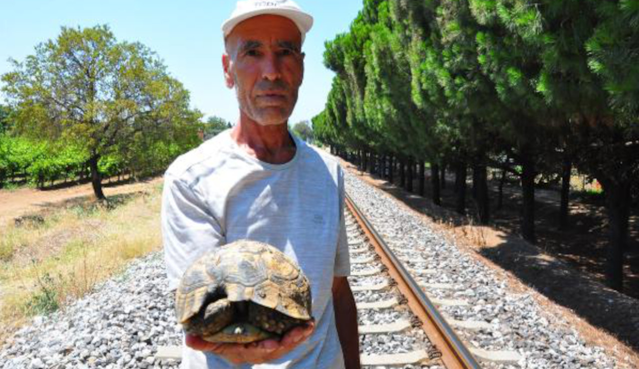 Manisa Tarzanı'yla tanıştı, Manisa kaplumbağacısı oldu