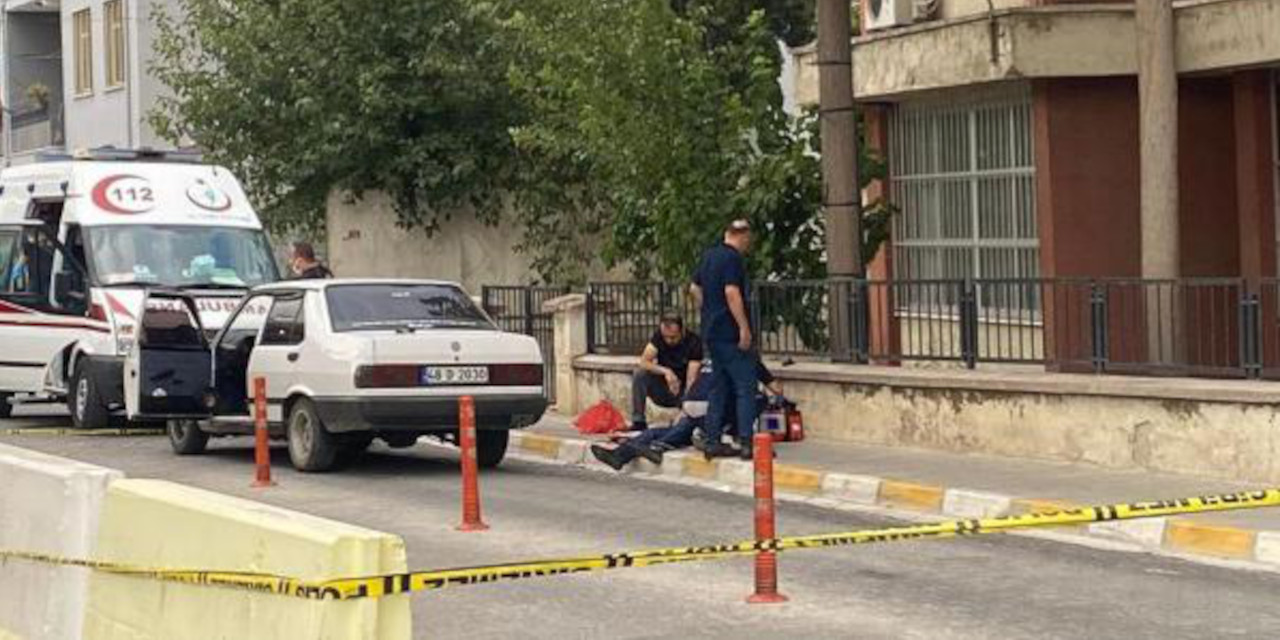 Aydın'daki çifte cinayetin nedeni: Miras ve cinsel taciz