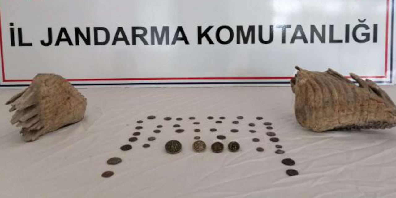 Otomobilden mamut fosili çıktı