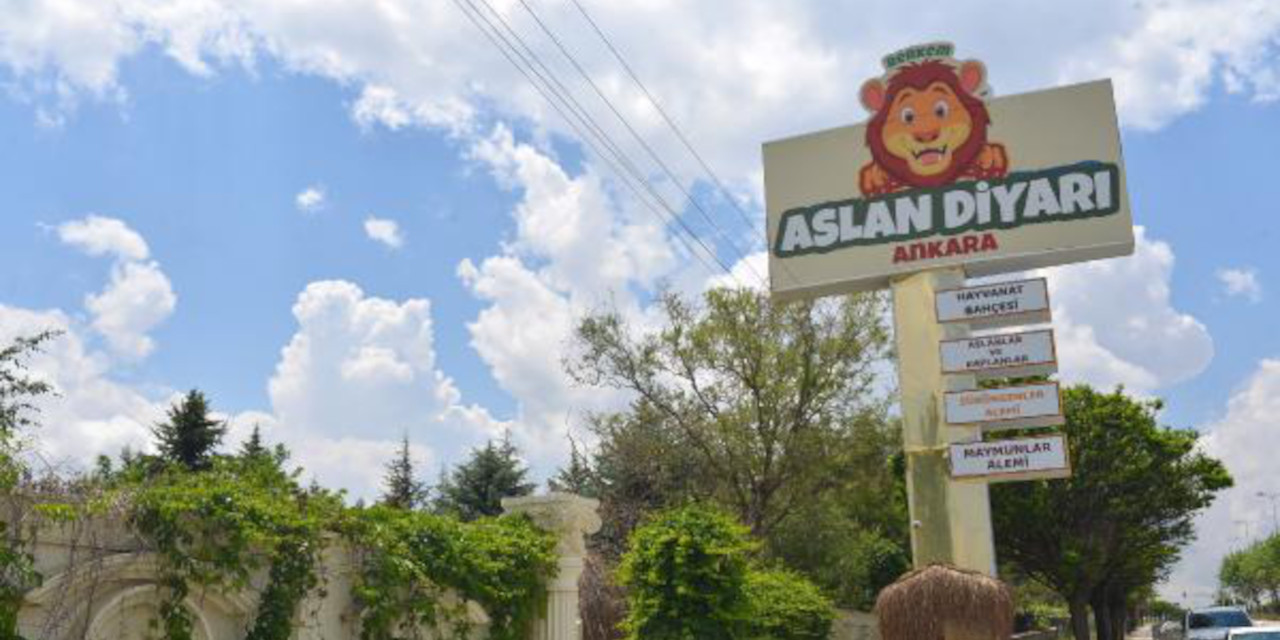 Mahalledeki hayvanat bahçesi kapatılıyor: Kükreme sesleri psikolojiyi bozdu