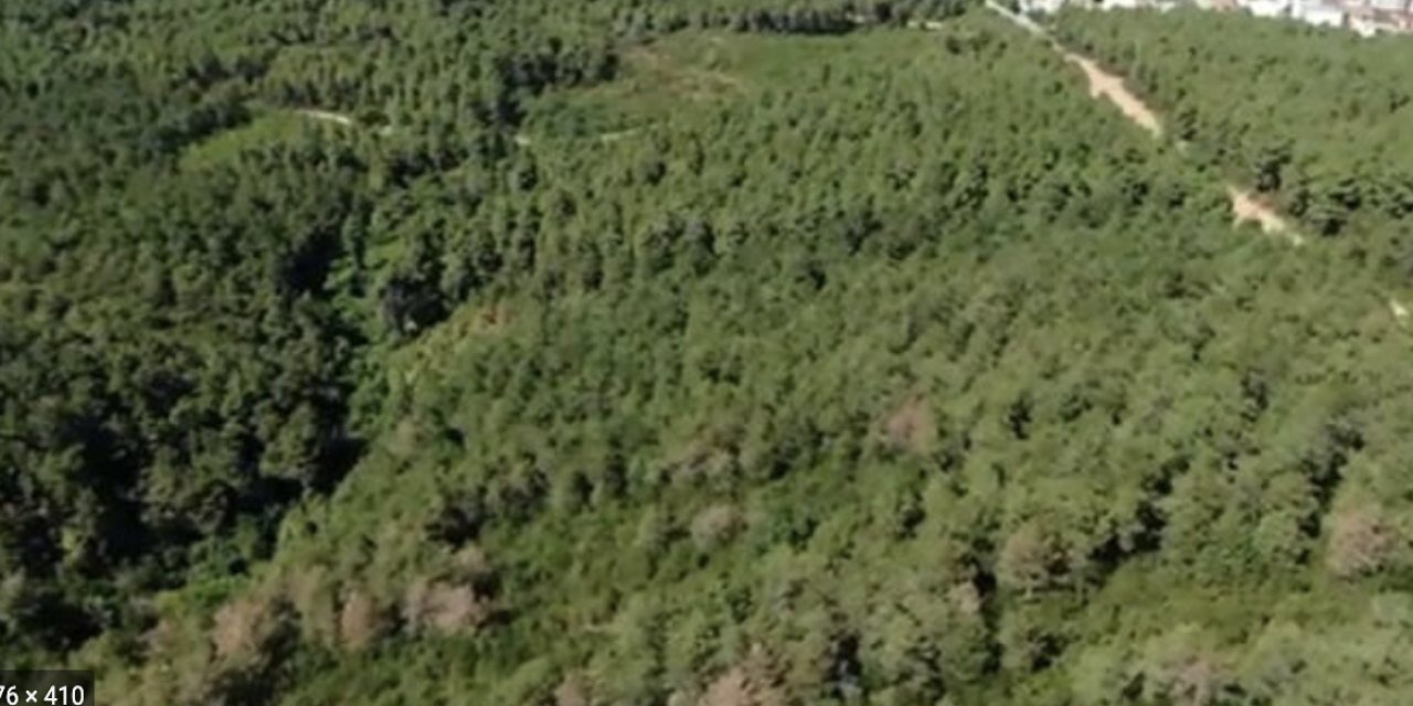 Aydos Ormanı'nda yürüme keyfi artık paralı