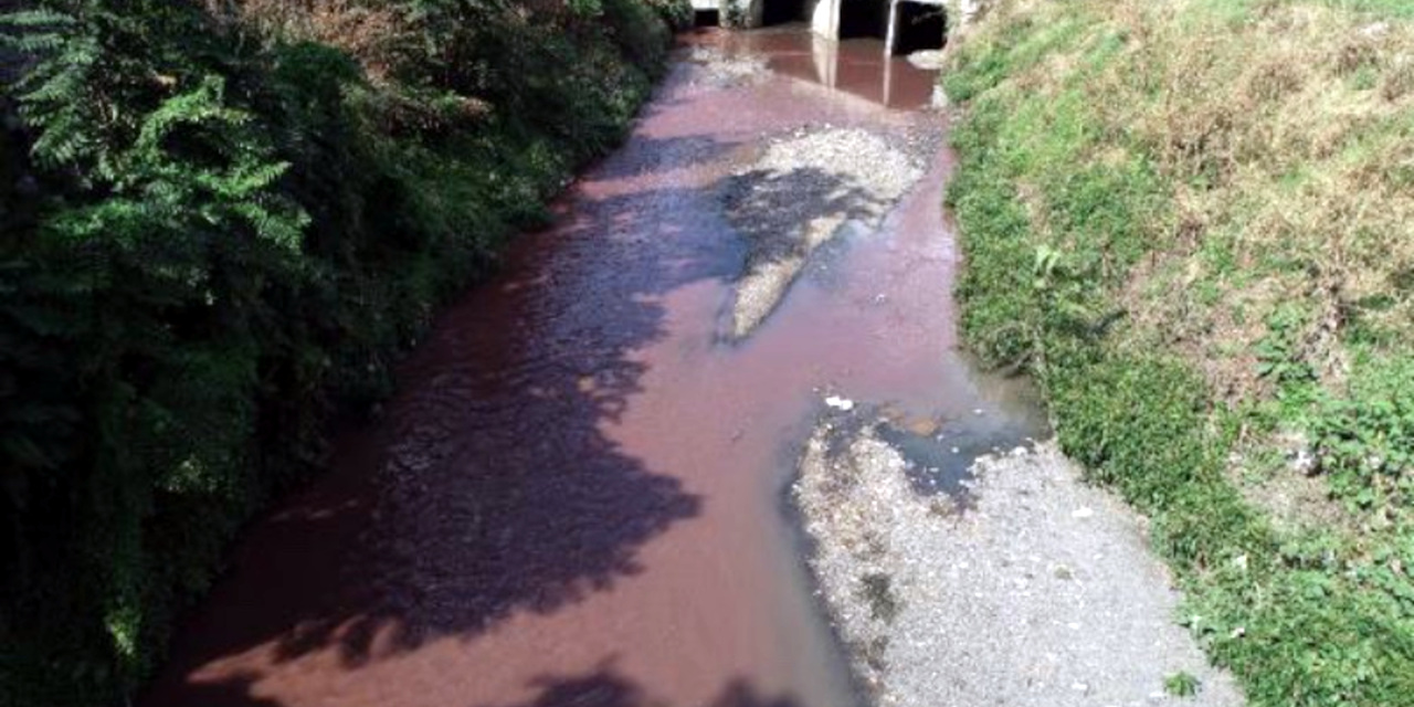 Ayamama Deresi kırmızı renkte aktı: 'İnsan kokudan kalamıyor'
