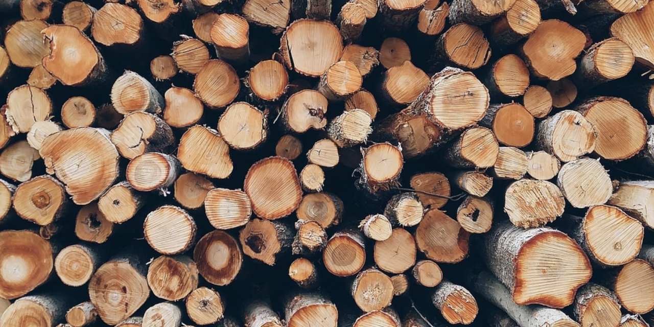 Isınmak çok pahalı: Odunun  tonu 3500 lirayı buldu