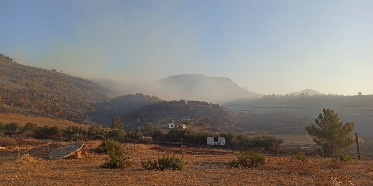 Bakanlık açıkladı: Mersin'deki orman yangını kontrol altına alındı, 1500 hektar zarar gördü