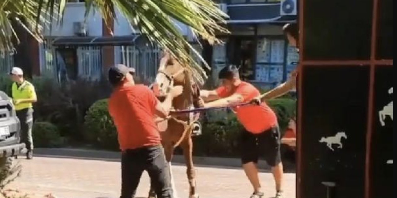 Manisa'da kurtuluş gününde ata vuran temsili süvariye para cezası