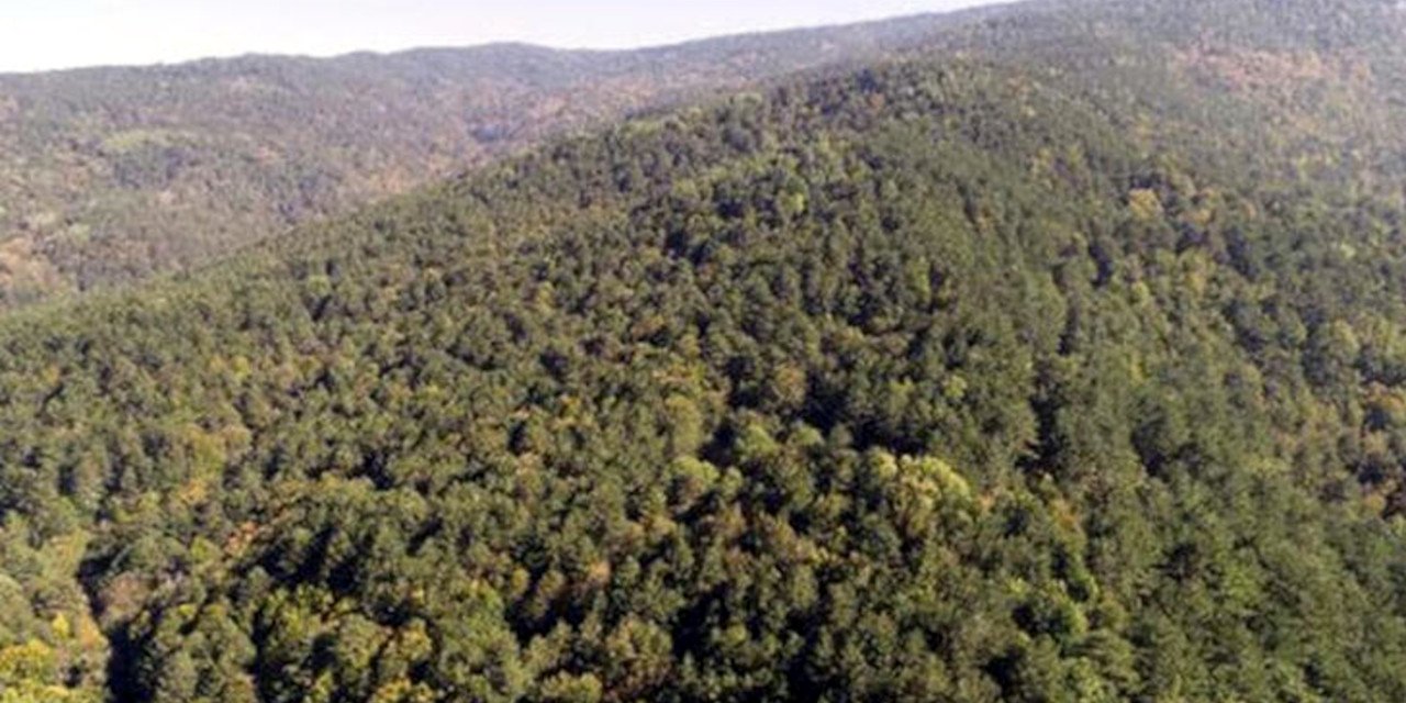 Cumhurbaşkanı kararı: 11 şehirde bazı alanlar orman sınırı dışına çıkarıldı