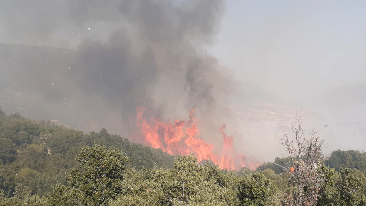 Kaş'ta yangın: Havadan ve karadan müdahale ediliyor