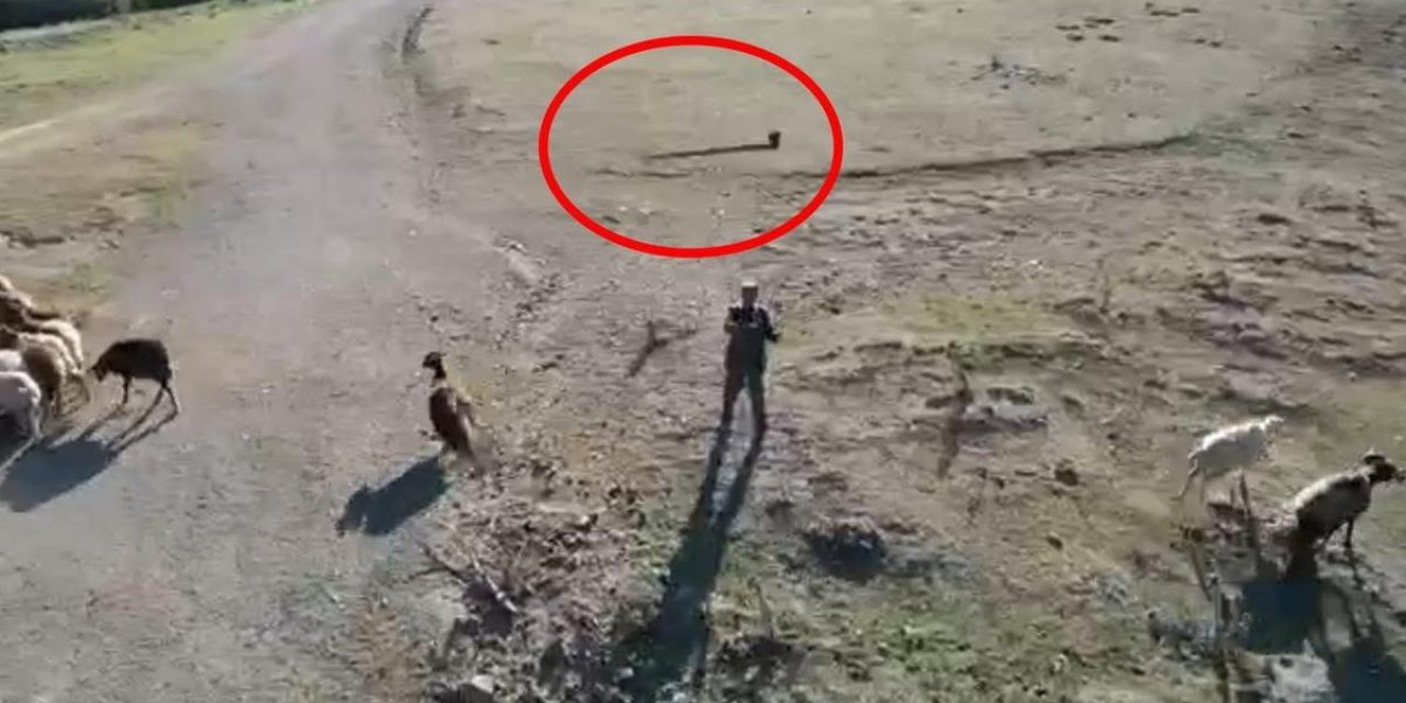 Çoban sürüye yaklaşan drone'a önce taş attı ardından yanındaki baltayı fırlattı