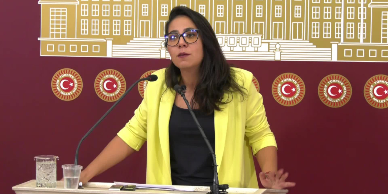 TİP'li Sera Kadıgil: Kız kardeşlerimizin şu anda başörtüsü diye bir sorunu yok