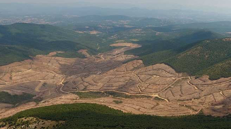 Kaz Dağları Ekoloji Platformu:  "Doğu Biga Madencilik yalan söylüyor, 60 yıllık ruhsatları yok"