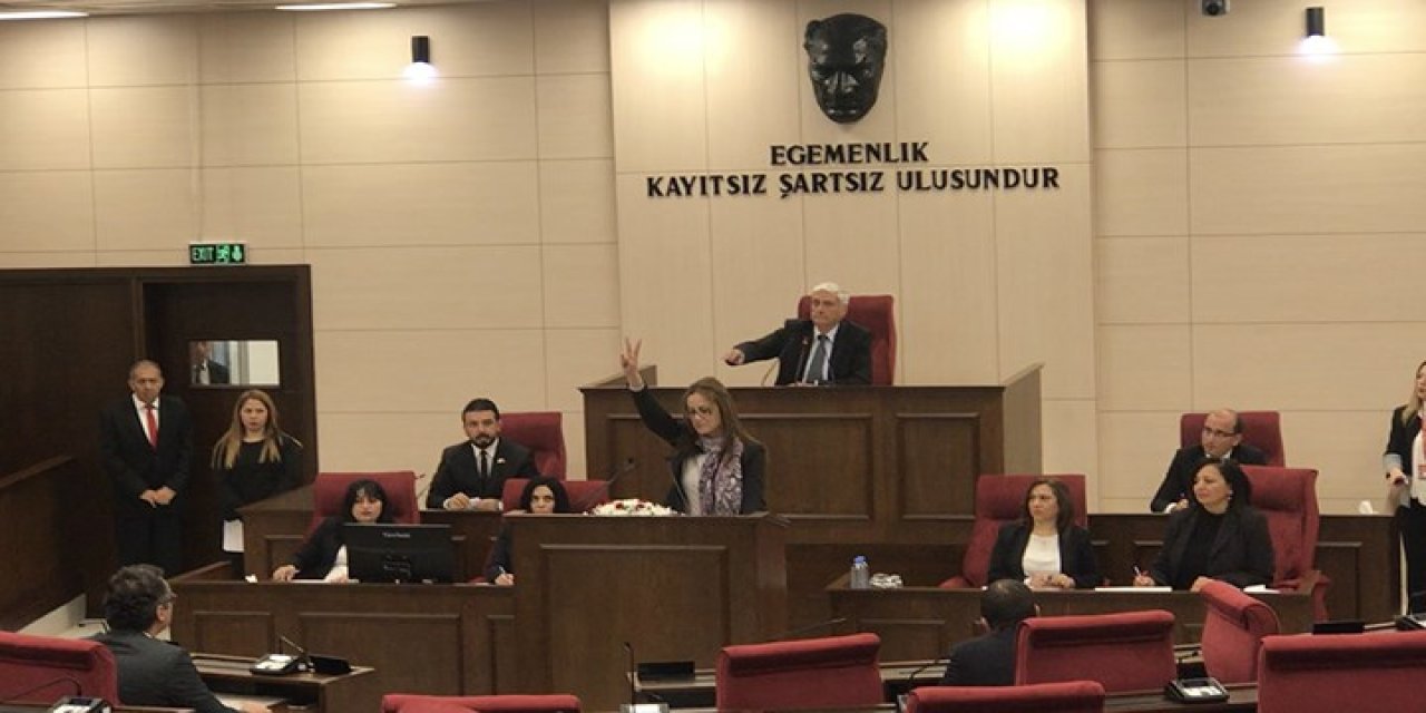 Türkiye'ye ilişkin sözlerine AKP'den 'hadsiz' tepkisi gelmişti:  Kıbrıslı vekilden yeni konuşma