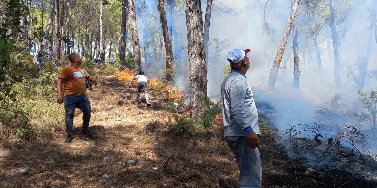 Antalya'da orman yangını! Havadan ve karadan müdahale başladı