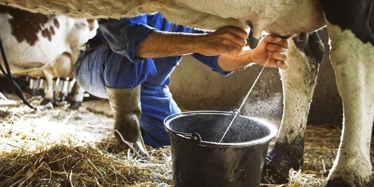 İçme sütü üretiminde dikkat çeken düşüş