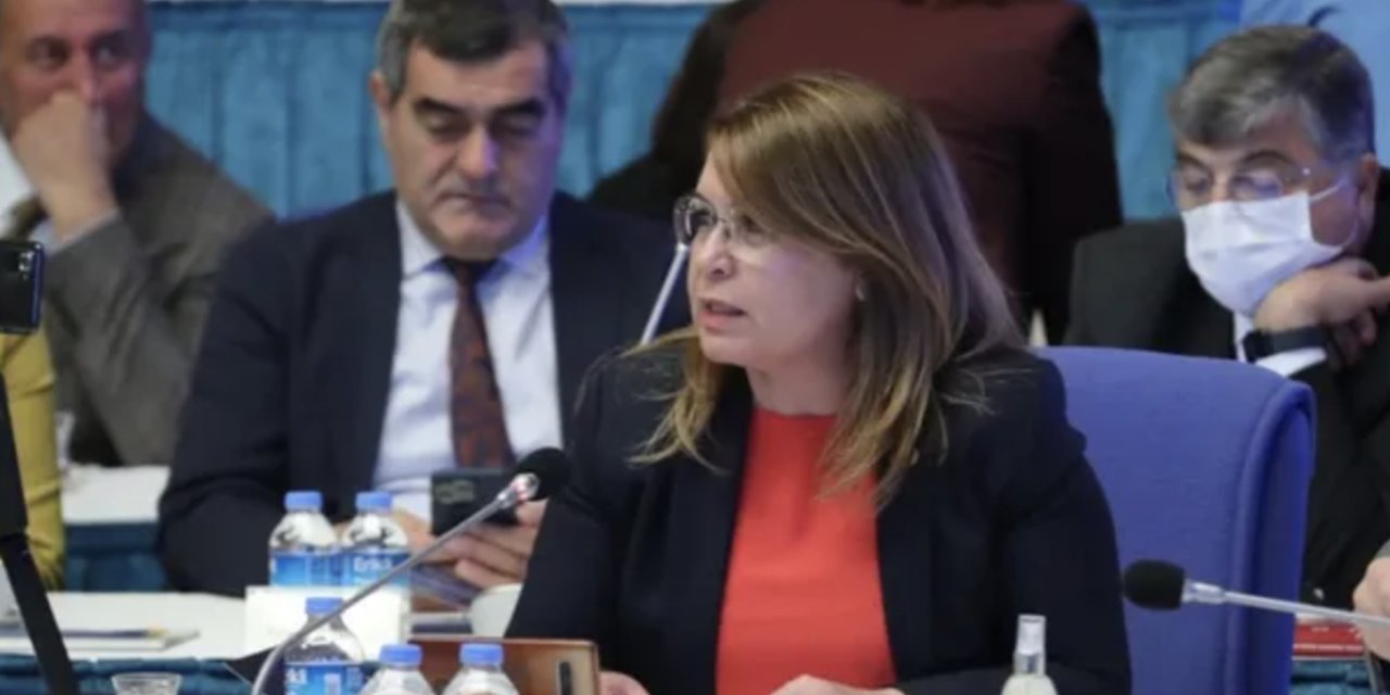 CHP'li Karaca: Çocuklar 'başım ağrıyor' deyince öğretmenler 'aç olduğunu' anlıyor