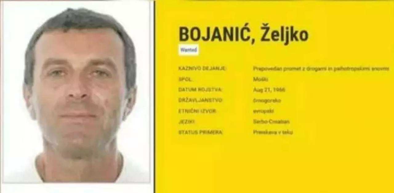 İstanbul'da yakalanan 'uyuşturucu kaçakçısı' Zeljko Bojanic kimdir?