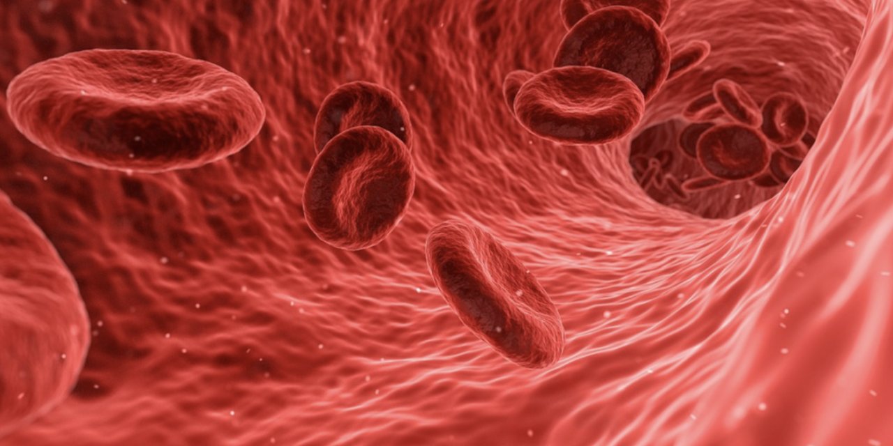 Laboratuvarda üretilen kan, ilk kez insana nakledildi