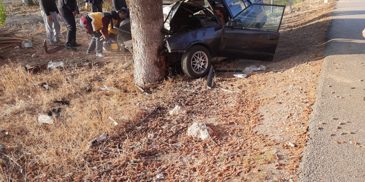 Üniversitelilerin içinde bulunduğu otomobil ağaca çarptı: 1 ölü, 3 ağır yaralı