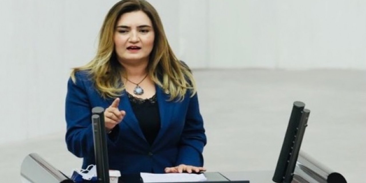 CHP'li Sevda Erdan Kılıç: Elektrik yardımları şaibeli