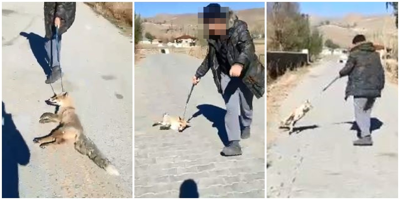 Tilkiye işkence yapan çocuklara 'adli ve idari' işlem