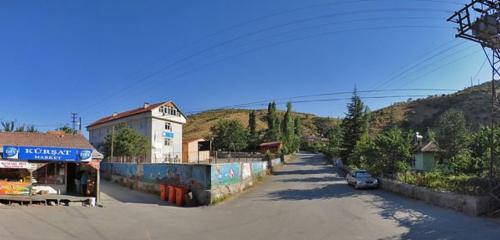 Ankara'da 30'dan fazla köpek patilerine damar yolu açılmış şekilde ölü bulundu