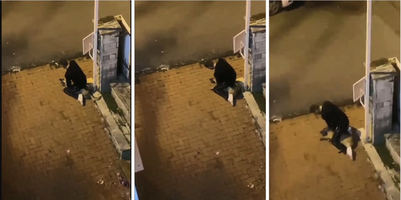 İnfial yaratan görüntü: İstanbul'da bir kişi sokak köpeğini boğmaya çalıştı
