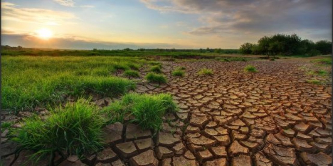 Araştırma: Çiftçilerin yüzde 98'ine göre en büyük tehdit iklim değişikliği