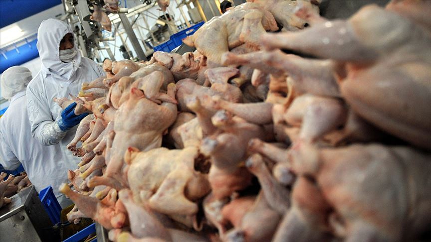 Et tüketimi iklime nasıl zarar veriyor?