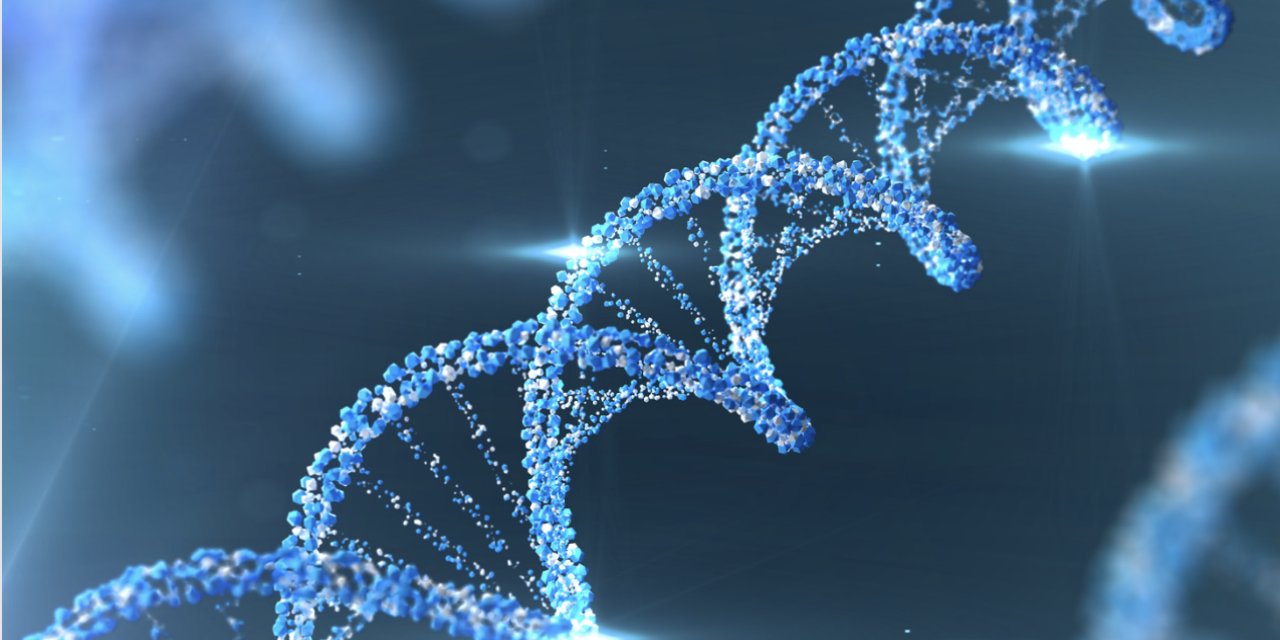 Bilim dünyası bu keşifi konuşuyor:  2 milyon yıllık DNA bulundu