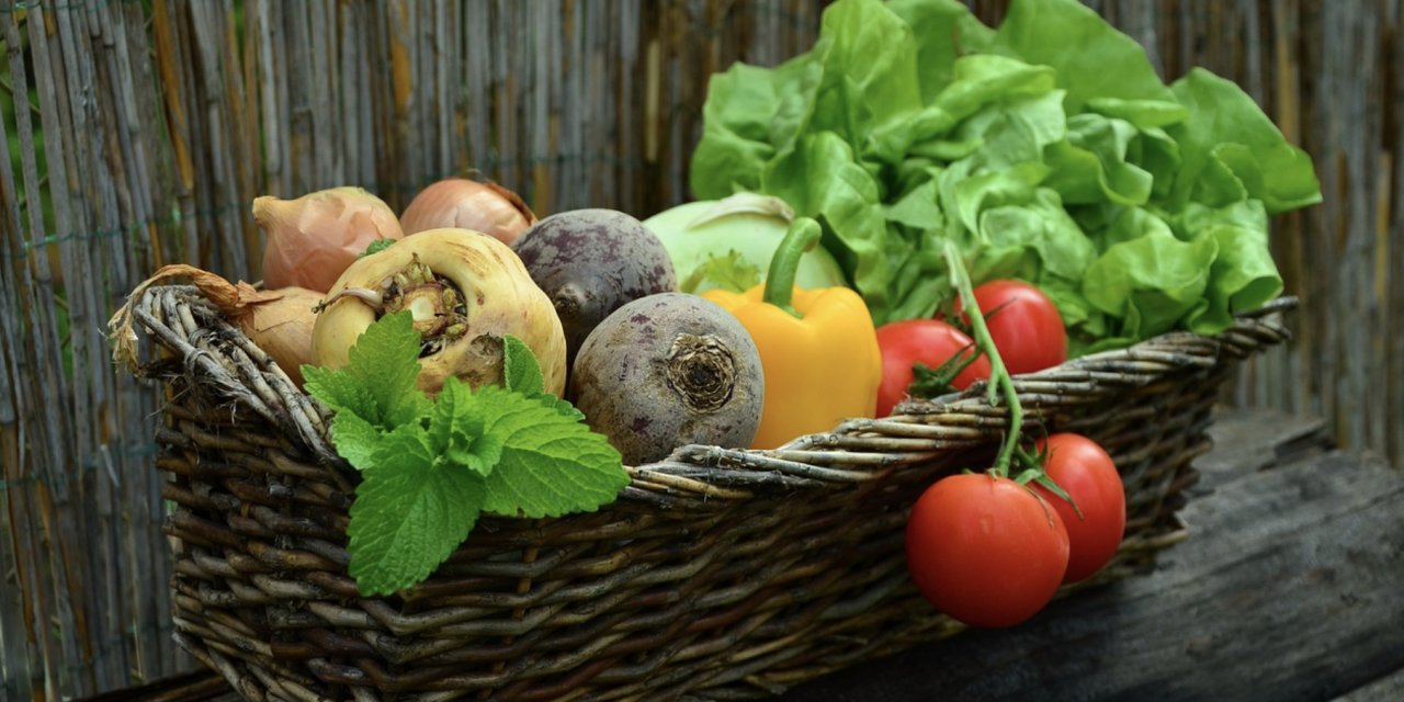 Kış günlerinde hastalıklardan koruyan 7 besin önerisi: Nasıl tüketmeli?