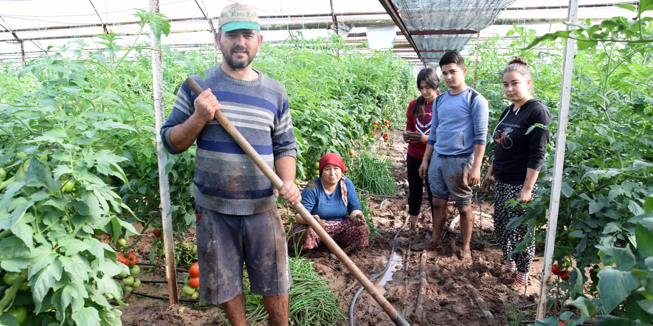 Selin vurduğu Kumluca'da çiftçiler ürünlerini kurtarmaya çalışıyor