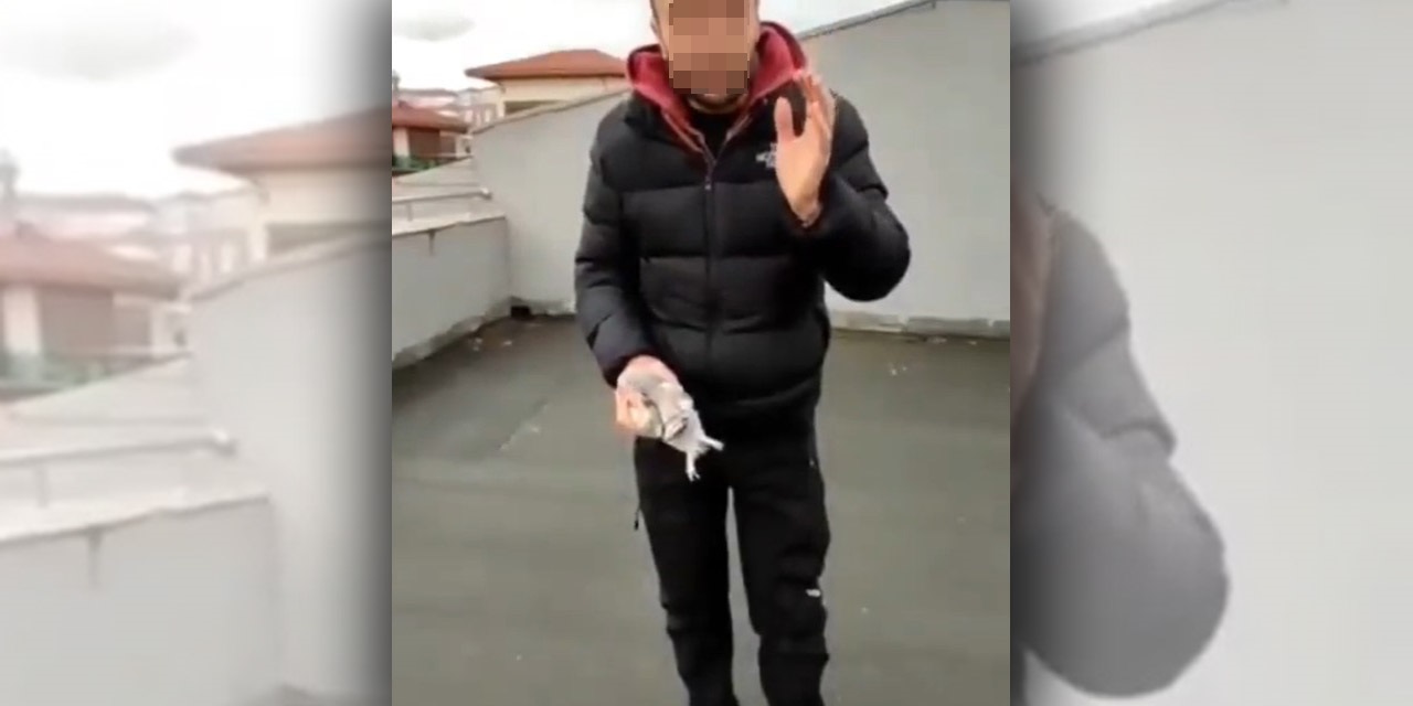 Güvercinin başını kopardı, para cezası kesildi