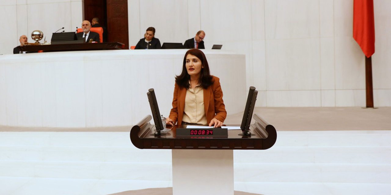 Semra Güzel’in vekilliği için Genel Kurul’da oylama yapılacak