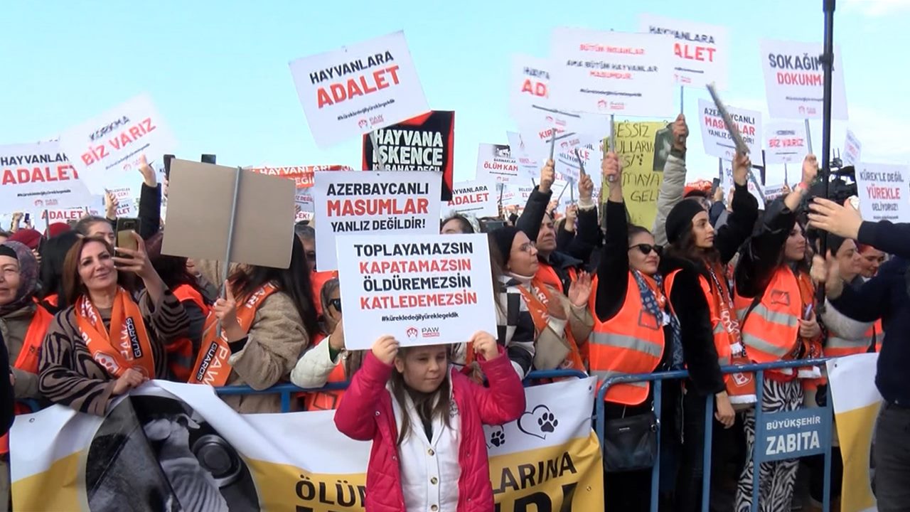 Hayvan hakkı savunucuları İstanbul'da: İstiyoruz ki Türkiye 'Hayırsız Ada' olmasın