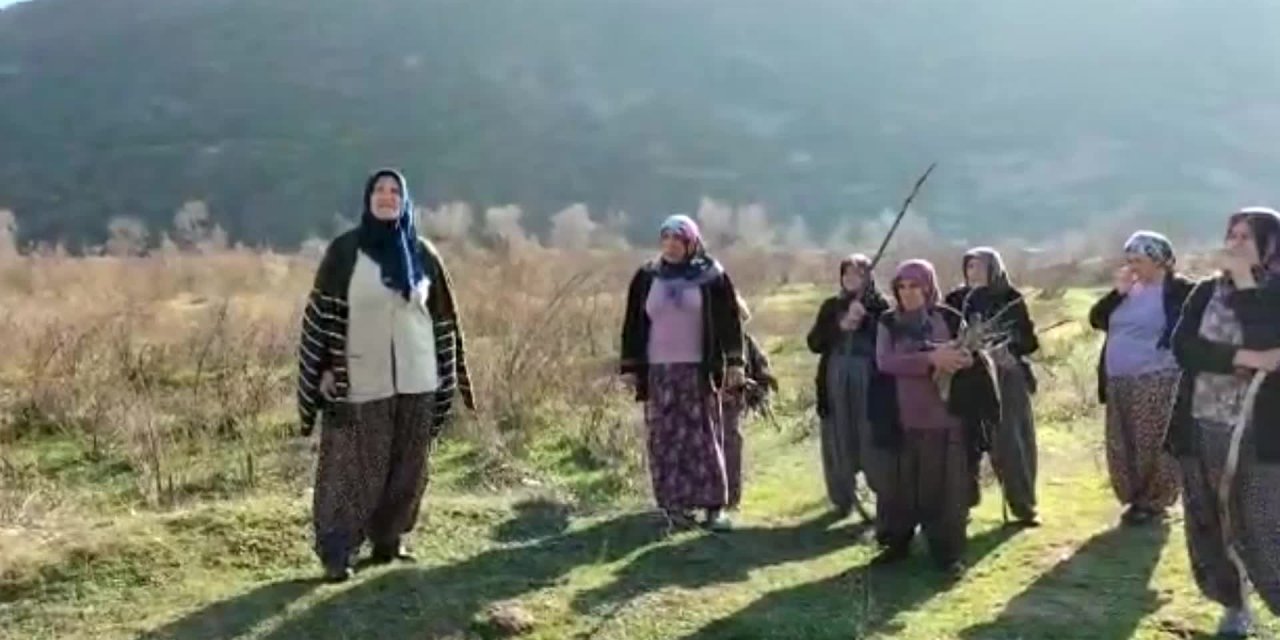 Çambükü Köyü kadınları yılın son gününde de toprağını bırakmadı