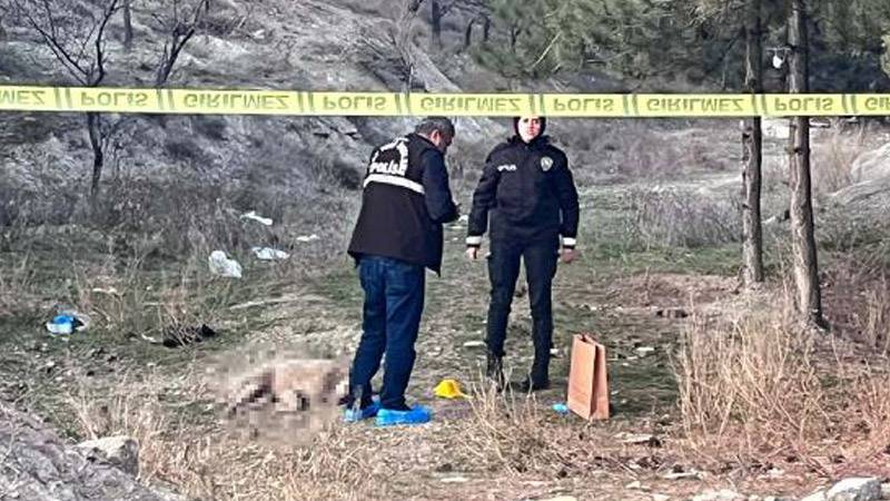 Ankara'da dört köpek tüfekle vurularak öldürüldü