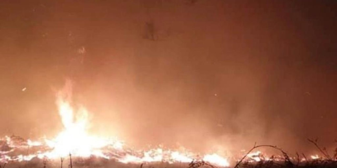 Kaz Dağları’nda çıkan yangın 12 saatte kontrol altına alındı
