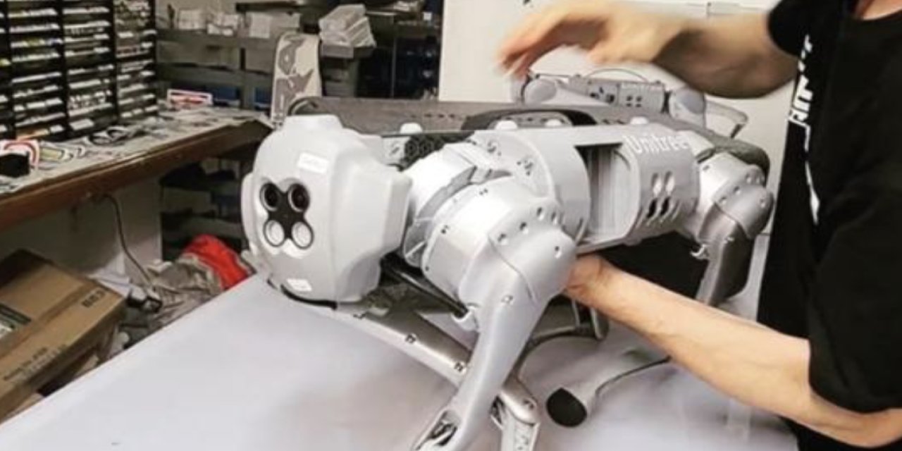 Robot köpeğe sokakta tekmeyle saldırdılar