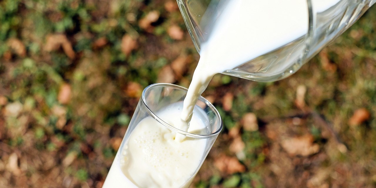 TÜİK açıkladı: İnek sütü üretimi azaldı