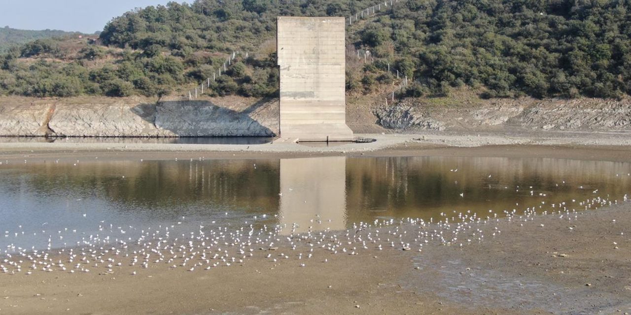 İstanbul'da su sorunu: Halk sağlığı tehdit altında