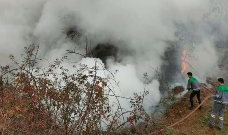 Ormanı 17 yerden yaktığı iddia edildi: Gözaltına alındı