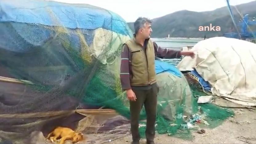 Sinop'ta köpek ölüleri bulundu: Yetkililere seslendiler, yardım istediler