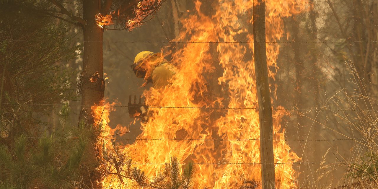 Şili’de orman yangını felakete dönüştü: Onlarca ölü, yüzlerce yaralı