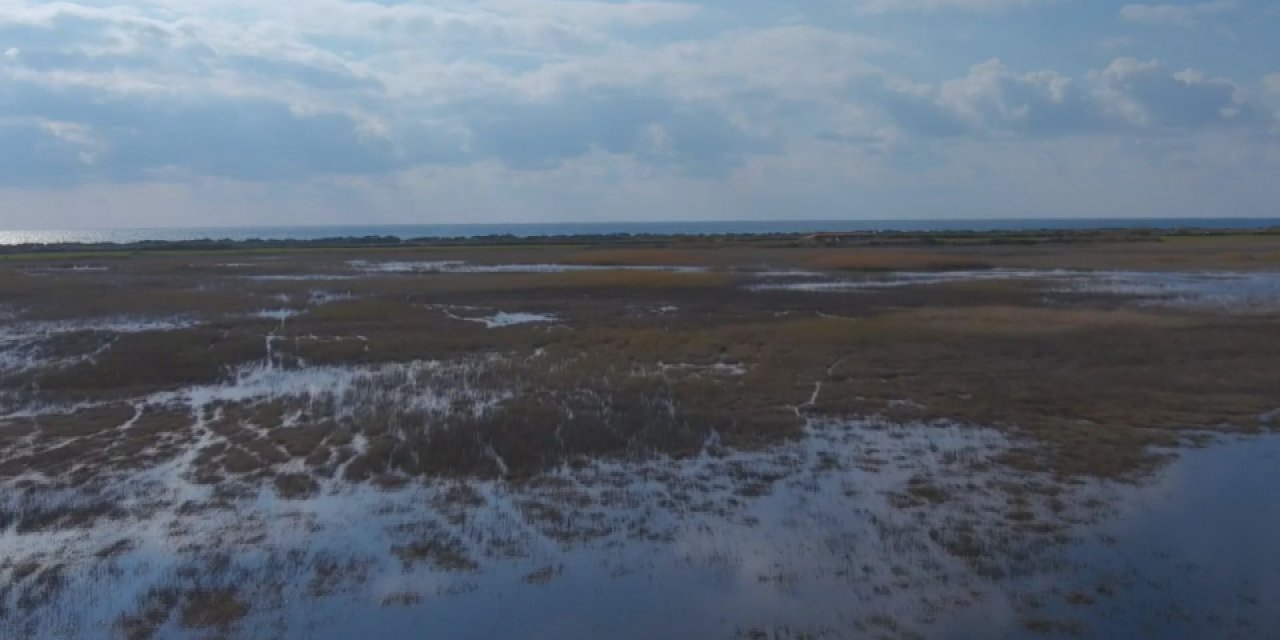 Milleyha Kuş Cenneti'ne enkaz ve moloz döküldü...