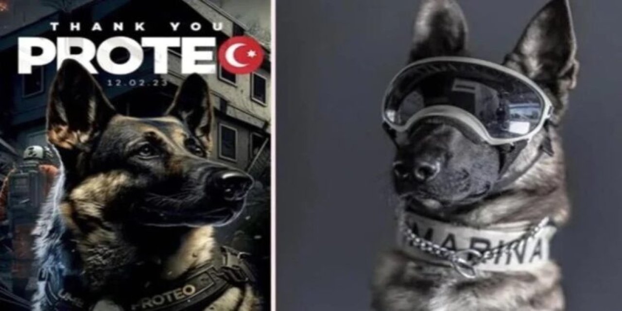 Proteo’nun Sarıyer’e heykeli dikilecek