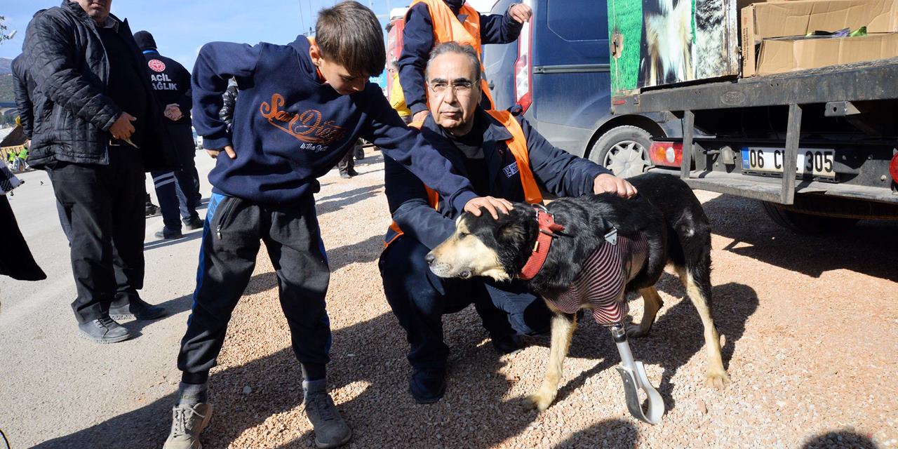 Enkazda patisini kaybeden köpeğe protez
