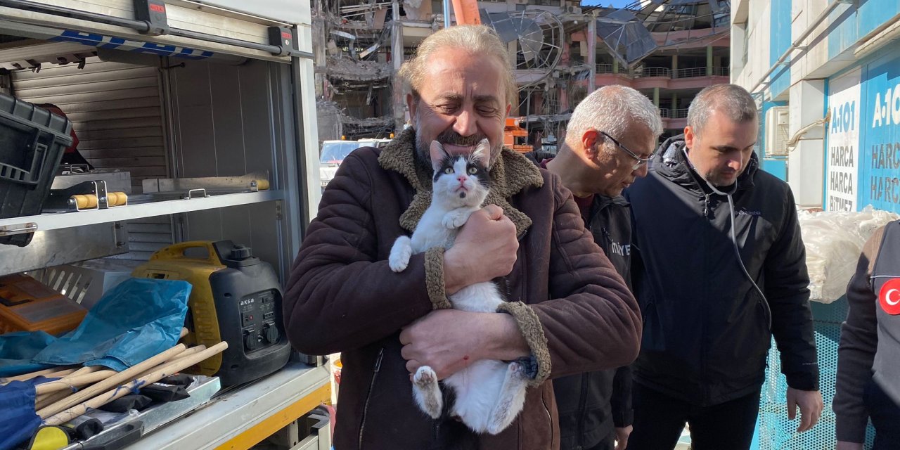 Diyarbakır'da Galeria Sitesi'nde kurtarılan kedi sayısı 12'ye çıktı