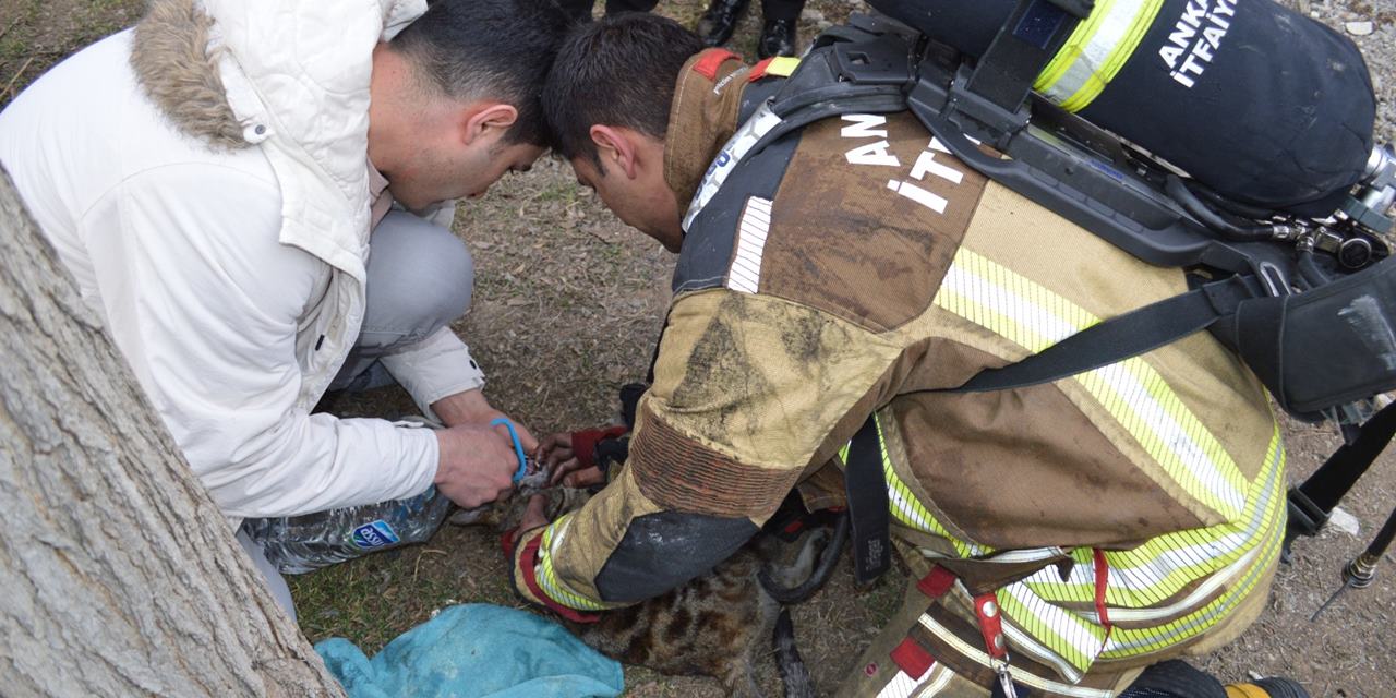Yangında mahsur kalan kediyi yaşatmak için zamanla yarıştılar ancak kurtarılamadı