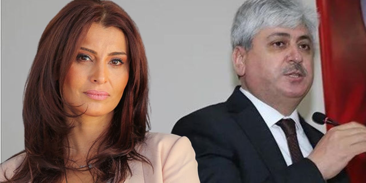 Hande Fırat'tan AKP'den milletvekili olabilmek için istifa eden Vali'ye tepki: 'Hiç mi vicdanı sızlamadı'