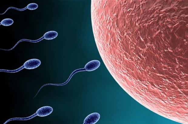 Sperm bankası bağışıyla 102 çocuğun biyolojik babasına 'Daha fazla bağış yapmasın' davası