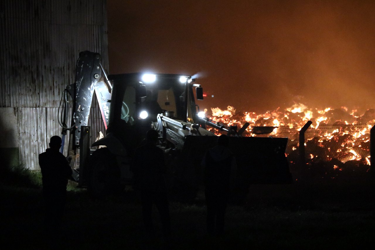 Afyonkarahisar'da biyoenerji tesisindeki ağaç köklerinde yangın çıktı